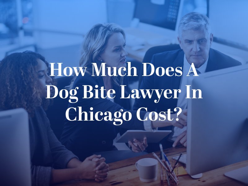 How Much Does a Dog Bite Lawyer in Chicago Cost?